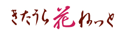hanalogo