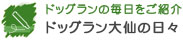 ドッグラン大仙の日々