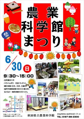 チラシの１